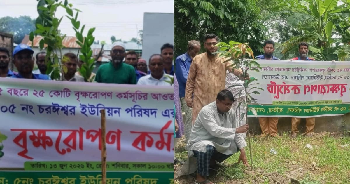 হাতিয়ার চরঈশ্বর ও চরকিংয়ে বৃক্ষরোপণ কর্মসূচি পালিত