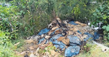 কোরবানির পশুর চামড়ার দুর্গন্ধে অতিষ্ট এলাকাবাসী