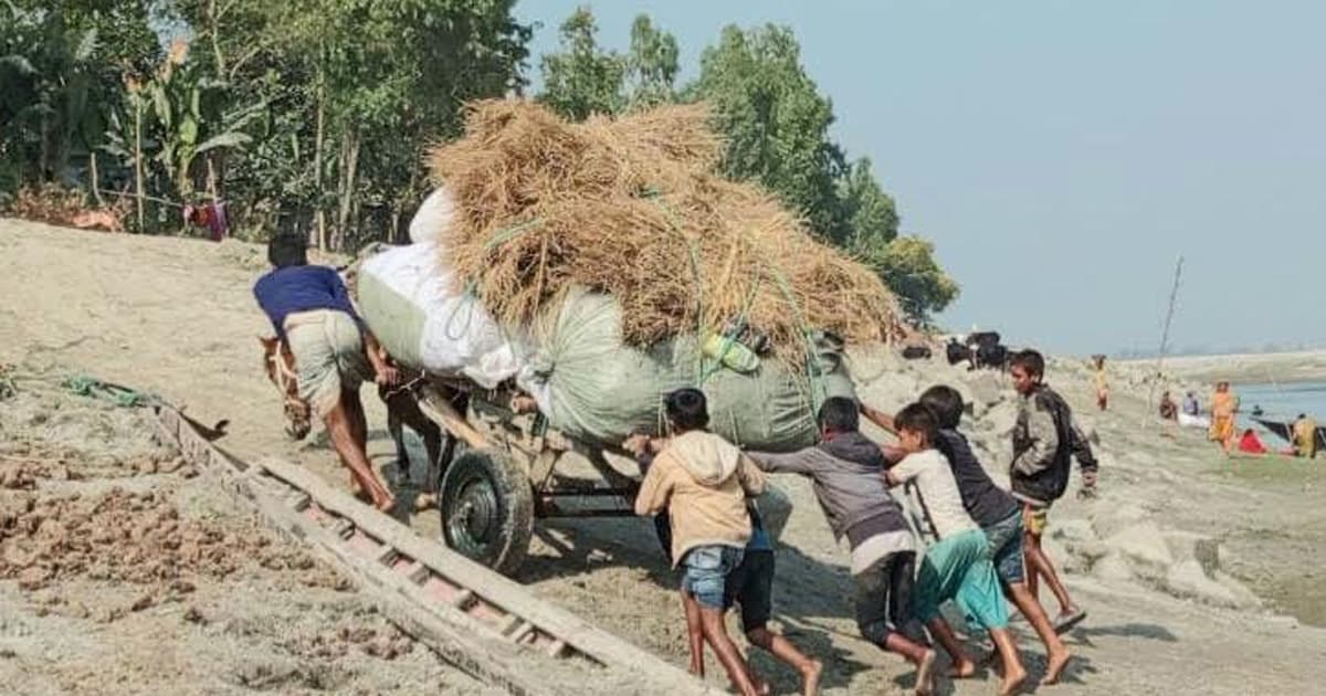 বালুচরে নেই আধুনিক যান, হাজার কোটি টাকার ফসলে পরিবহনের ‘কাঁটা’