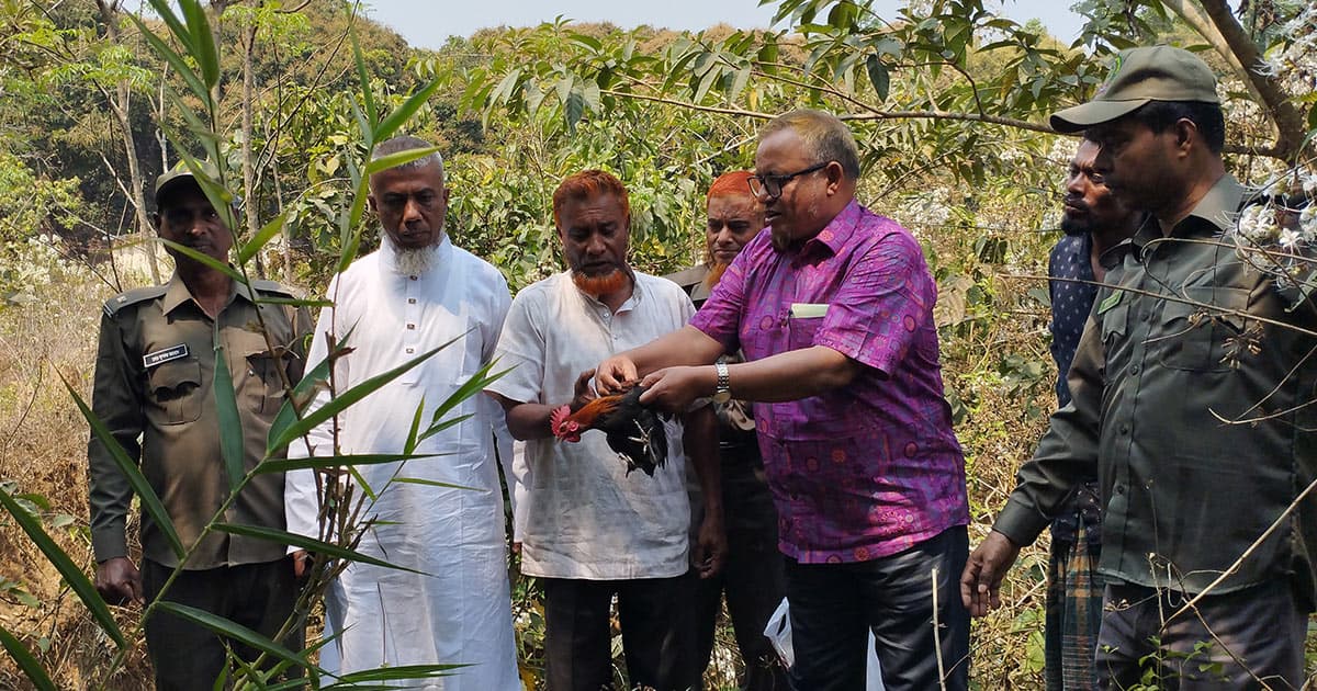 খাগড়াছড়িতে বন্য মোরগ অবমুক্ত