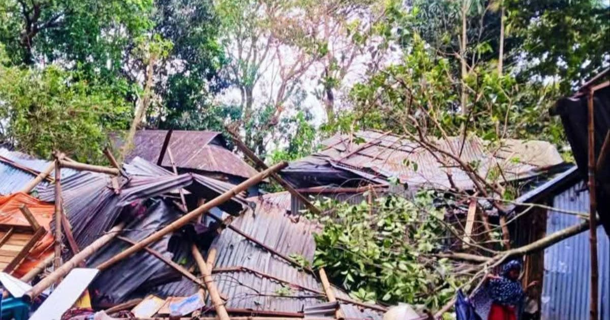 নেত্রকোনায় কালবৈশাখী ঝড় ও শিলাবৃষ্টিতে ব্যাপক ক্ষয়ক্ষতি
