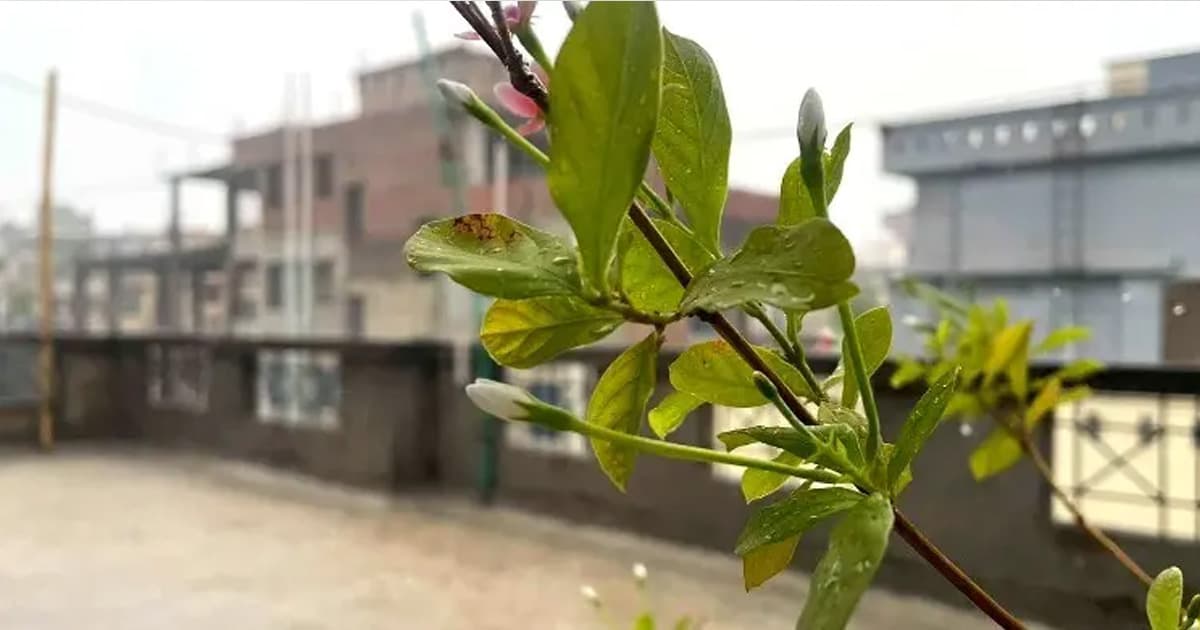 আজ ঢাকার বাতাস ‘সহনীয়’