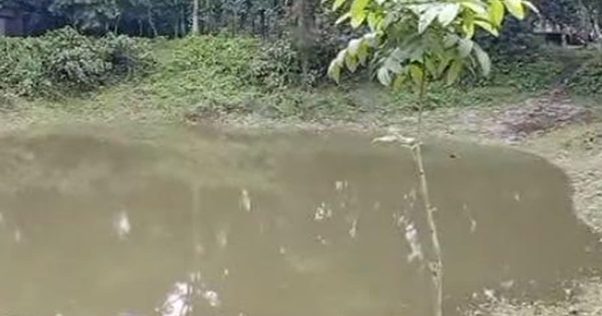 রংপুরে তীব্র পানি সংকট, মাছের চাহিদায় বড় ঘাটতি