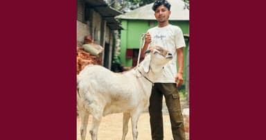 সৈয়দপুরে ৬৫ কেজি ওজনের সুলতানের ‘সুলতান’