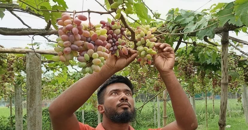স্মার্টফোনে শুরু, বাগানে স্বপ্নপূরণ