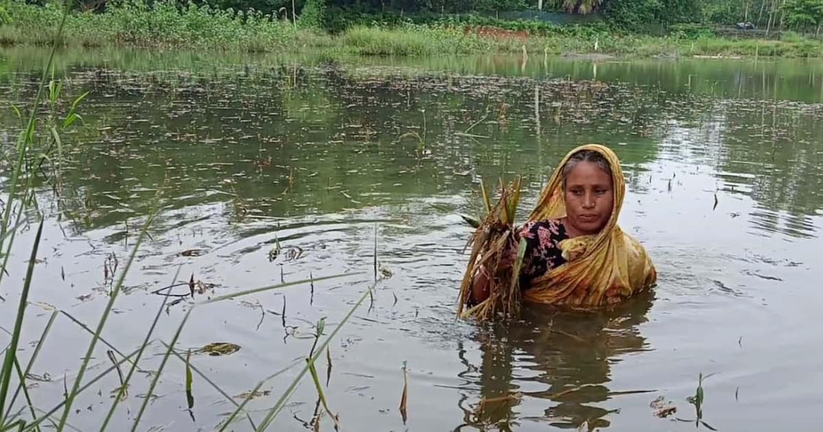 ‘ক্যানকা করি বছরটা পার করিম এ্যালা, এই চিন্তায় রাইতো ঘুমবার পাওছোনা’