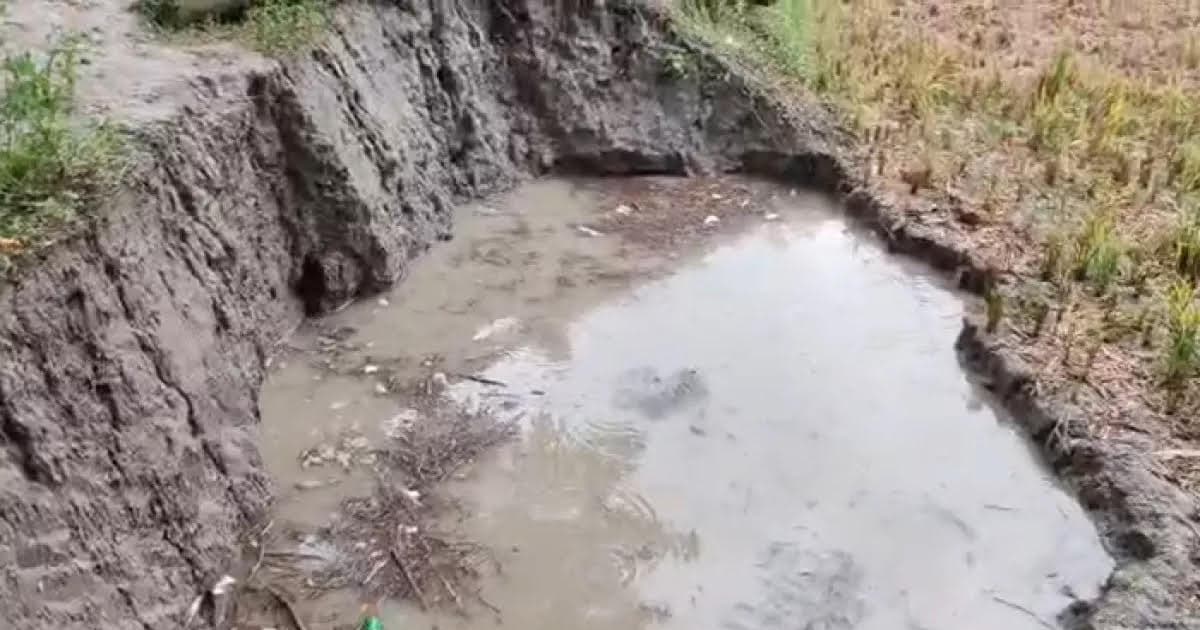খেলতে গিয়ে পানিতে ডুবে প্রাণ গেল ৪ শিশুর