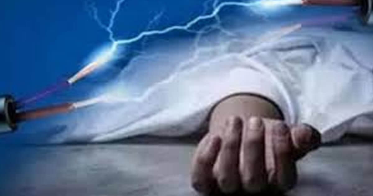 আলমডাঙ্গায় বিদ্যুৎস্পৃষ্টে দুই যুবকের মৃত্যু