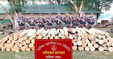 বাঘাইছড়িতে বিপুল পরিমাণ সেগুন কাঠ উদ্ধার