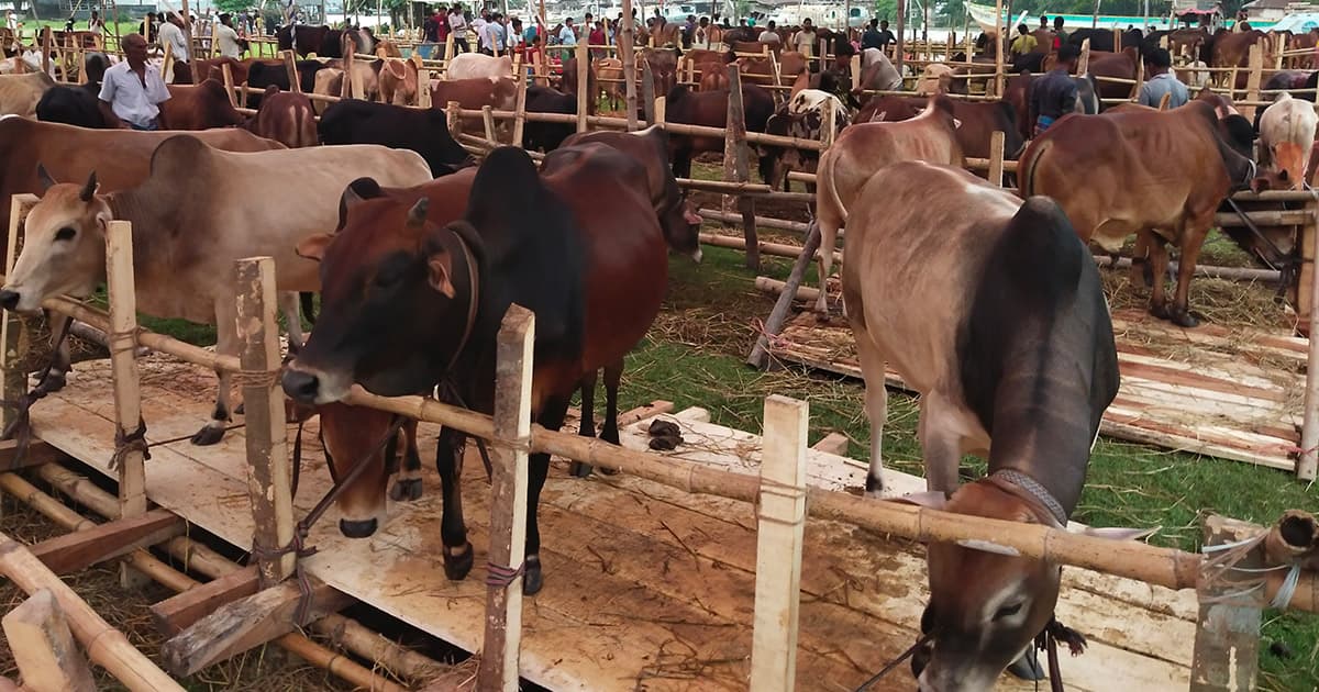 নেছারাবাদে হাটের খাজনা মওকুফ করলেন প্রতিমন্ত্রী