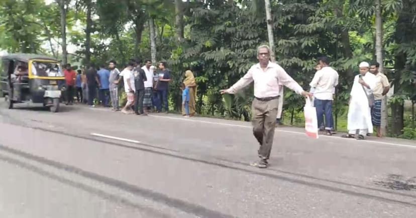 সড়ক দুর্ঘটনায় দাদি-নাতনি নিহত