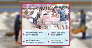 চামড়া বাঁচাতে ‘লবণ-যুদ্ধ’