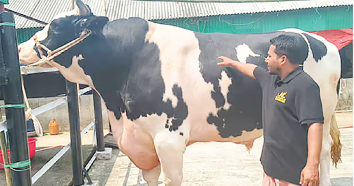 শেরপুরের ‘বাংলার ডন’ চালচলনে নবাব