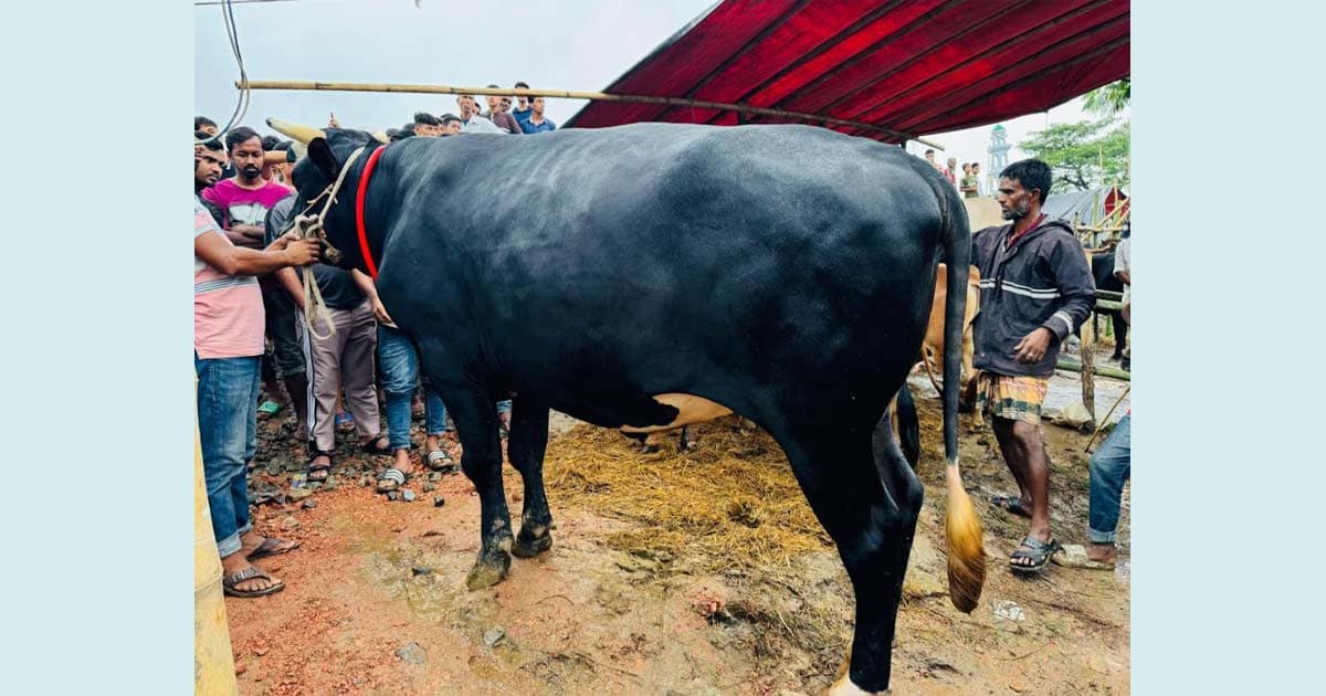 শেষ মুহূর্তে নজর কেড়েছে ‘নাসীরুদ্দীন পাটওয়ারী’