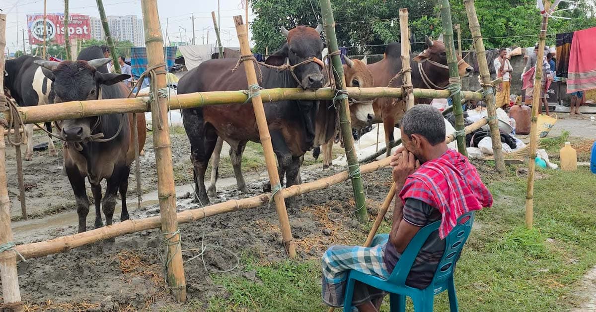 বৈরী আবহাওয়ায় থমকে গেছে বেচাকেনা, দুশ্চিন্তায় পাইকাররা