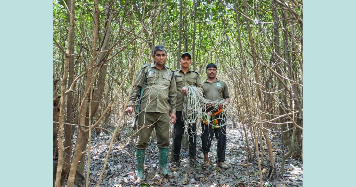 সুন্দরবন থেকে ৫১টি মালা ফাঁদ উদ্ধার