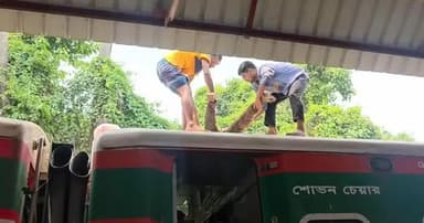 কুষ্টিয়ায় ট্রেনের ছাদে মিলল যুবকের মরদেহ