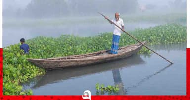 পাবনার ভাঙ্গুড়ায় হেমন্তের শুরুতেই কুয়াশা, শীতের আগমনী বার্তা