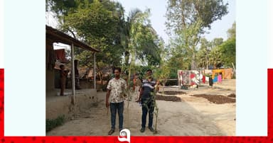 তাড়াশে বসতবাড়ি থেকে গাঁজা গাছ উদ্ধার