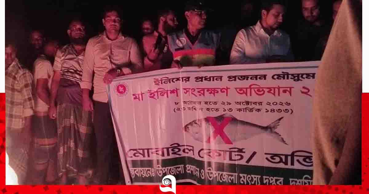 তেতুলিয়া নদীতে মা ইলিশ শিকারের দায় ৮ জেলের কারাদণ্ড