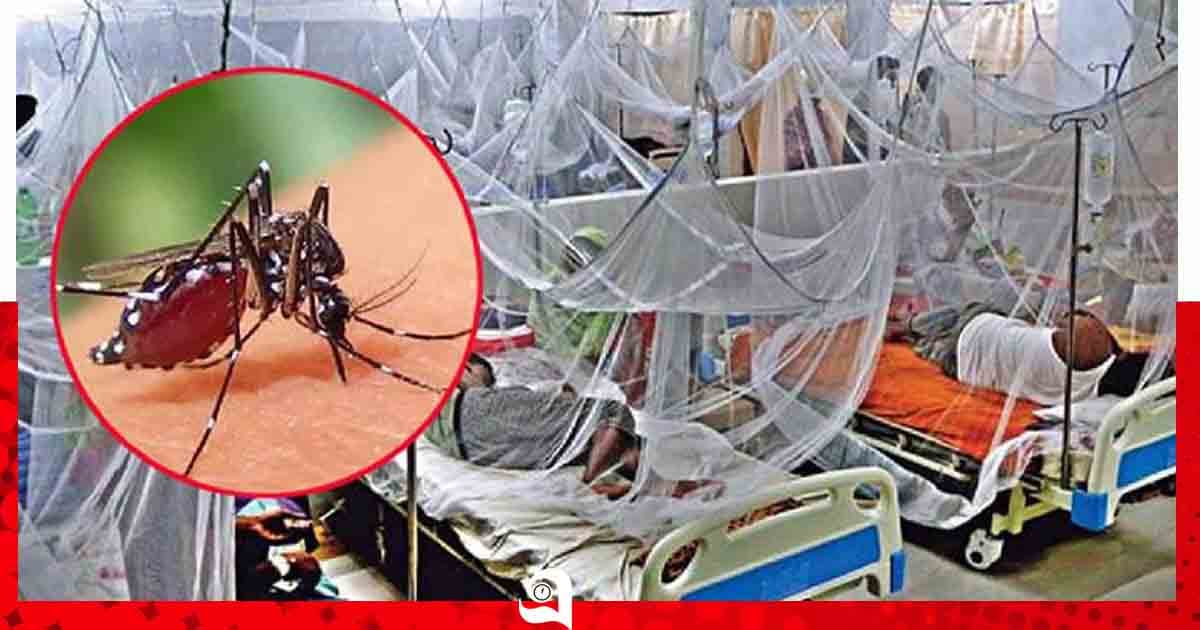 কুষ্টিয়ায় ২৪ ঘণ্টায় নতুন ৩ ডেঙ্গু রোগী হাসপাতালে ভর্তি, এ পর্যন্ত সুস্থ ২১৪