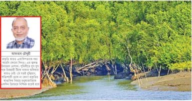 বাংলার প্রাণ সুন্দরবন