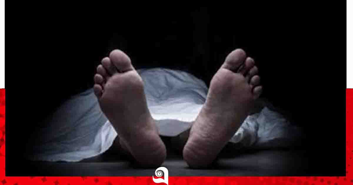 জীবননগরে সড়ক দুর্ঘটনায় নারীর মৃত্যু