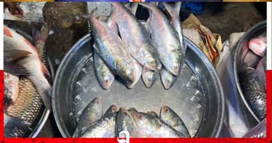 মধ্যরাত থেকেই ২২ দিনের নিস্তব্ধতা
