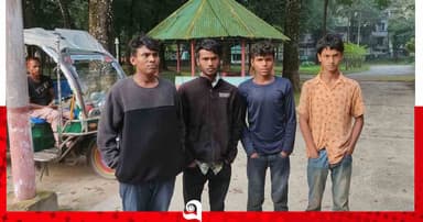 তেঁতুলিয়া সীমান্তে দিয়ে ভারতে প্রবেশের চেষ্টা, আটক ৪