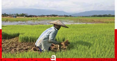 বেড়ার চরাঞ্চলের কৃষকদের কৃষি প্রণোদনা না পাওয়ার অভিযোগ