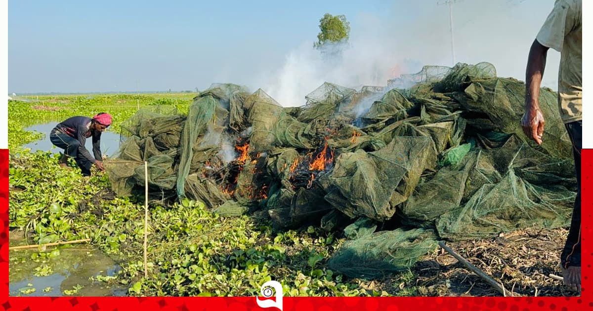 সিংড়ায় অবৈধ চায়না দুয়ারি জাল পুড়িয়ে ধ্বংস