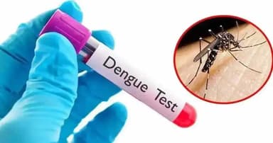 ডেঙ্গুতে আরও মৃত্যু ৬