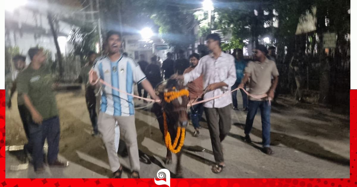 নিষেধাজ্ঞার প্রতিবাদে গরু নিয়ে জবিতে মিছিল