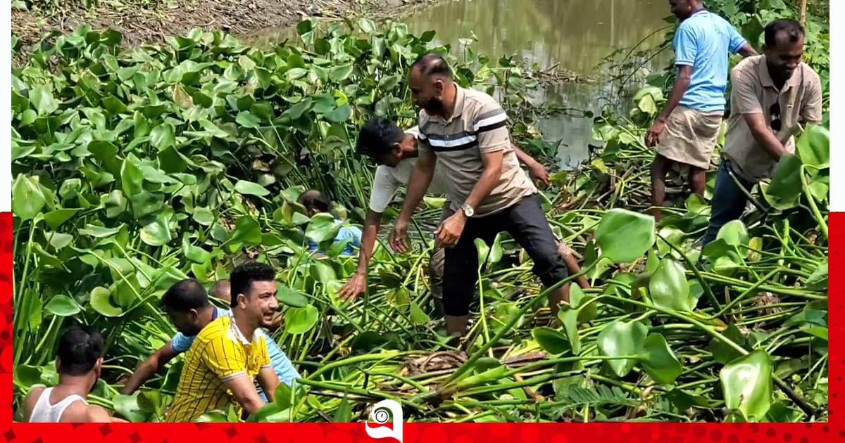 ডেঙ্গু প্রতিরোধে খাল পরিষ্কার করল বিএনপি