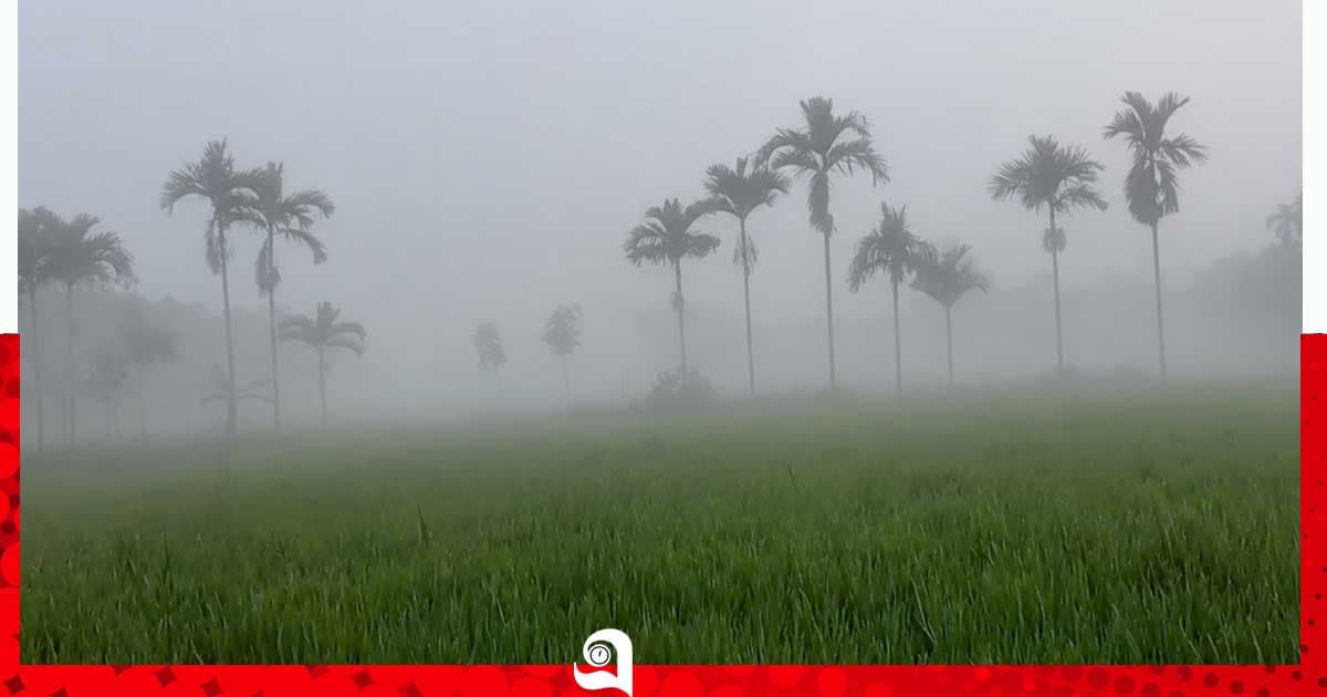 শীতের আগমনী বার্তা
