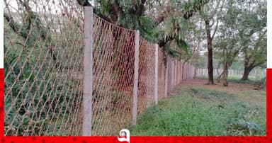 বাঘ-মানুষের সংঘাত ঠেকাতে সুন্দরবনে নাইলনের বেড়া