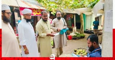 বিশ্ব পরিযায়ী পাখি দিবসে সিংড়ায় লিফলেট বিতরণ