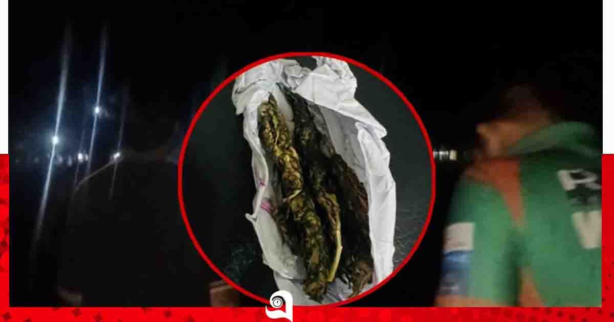 ইসলামী বিশ্ববিদ্যালয়ে গাঁজাসহ হাতেনাতে ধরা দুই শিক্ষার্থী