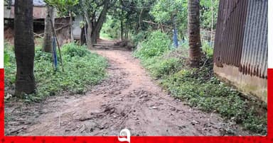 ময়মনসিংহে টিআর, কাবিখা-কাবিটা প্রকল্পে হরিলুট