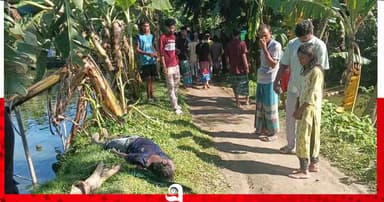 শেরপুরে মাছের খামার থেকে যুবকের লাশ উদ্ধার