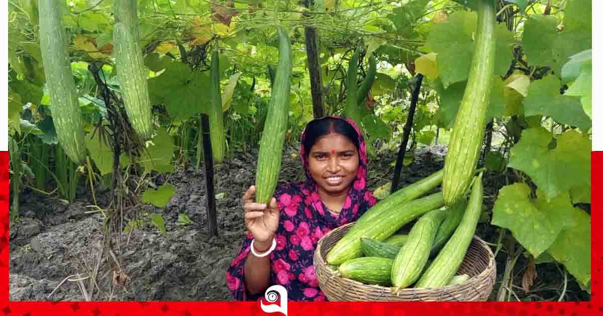 প্রাণবৈচিত্র্য সমৃদ্ধ কৃষি খামার গড়ে তুলেছেন উপকূলের চন্দনা রানী