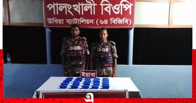 সীমান্তে বিজিবির অভিযানে ৫০ হাজার পিস ইয়াবা উদ্ধার