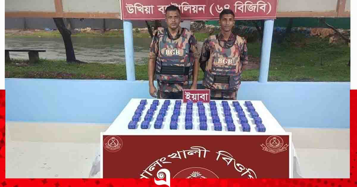 সীমান্তে বিজিবির ধাওয়া, ১ লাখ পিস ইয়াবা ফেলে মিয়ানমারে পলায়ন