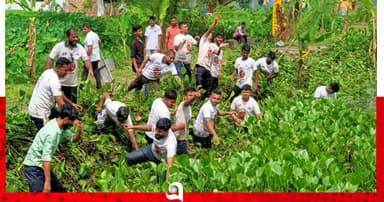 ডেঙ্গু প্রতিরোধে বোরহানউদ্দিনে ছাত্রদলের পরিচ্ছন্নতা অভিযান