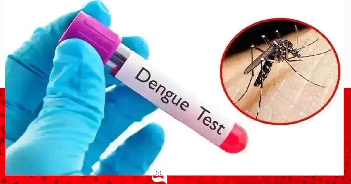 ডেঙ্গুতে আরও ২ মৃত্যু