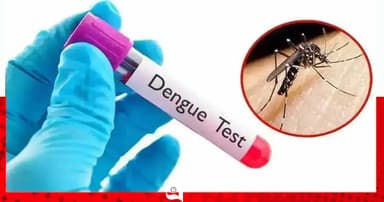 ডেঙ্গুতে আরও ২ মৃত্যু