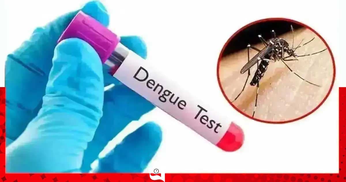 ডেঙ্গুতে আরও ৫ মৃত্যু