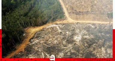 এল নিনোর হিসাব: ছয় মাসে সাড়ে চার লাখ মৃত্যুর আশঙ্কা