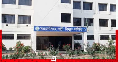 ভালুকায় বিদ্যুৎস্পৃষ্টে ২ ভাই নিহত