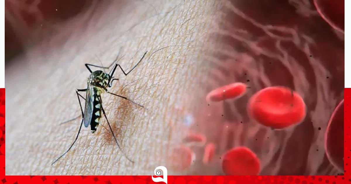 ডেঙ্গু প্রতিরোধে সরকারের হাতে একগুচ্ছ কর্মসূচি